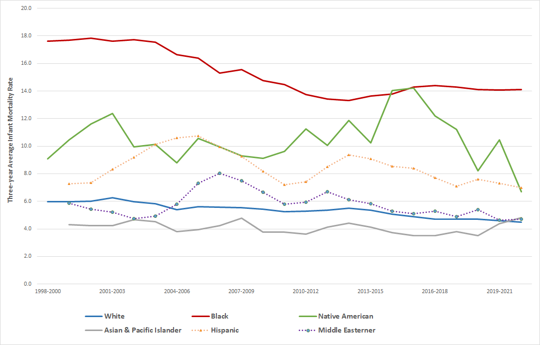 Infant Mortality Rates by Leading Causes of Infant Deaths, 1980-2022