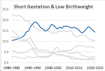Short Gestation/Low Birthweight Death Rates (IMR 1980: 10.6 and IMR 2022: 14.4), 1980-2022