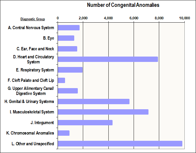 Number of Congenital Anomalies by Diagnostic Group
